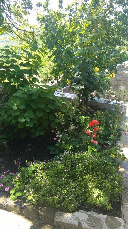 Apartment Pud Oreh Roč Εξωτερικό φωτογραφία